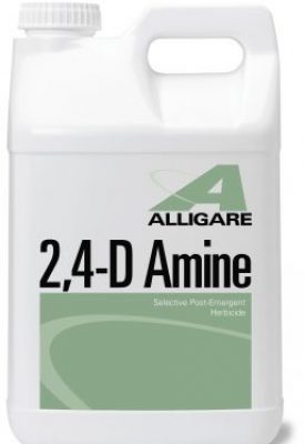 2,4-D Amine quart (32 oz)