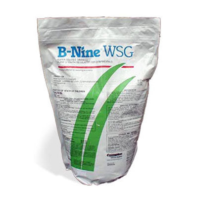 B-Nine WSG bag (5 lbs)