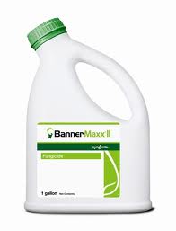 Banner Maxx II Fungicide