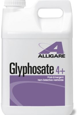 Glyphosate 4 Plus quart (32 oz)