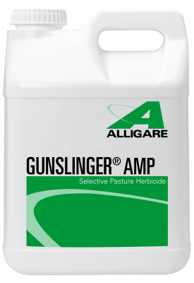 Gunslinger Amp  jug (2.5 gal)