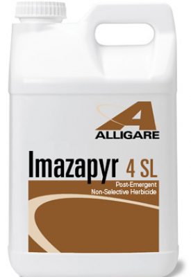 Imazapyr 4SL-2.5 gallons