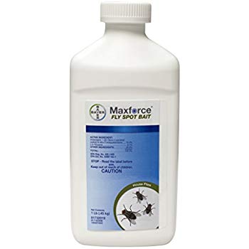 Maxforce Fly Spot Bait-16 oz bottle