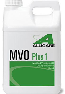 Alligare MVO Plus 1 2.5 gallons