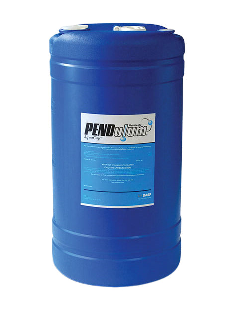 Pendulum Aquacap Herbicide drum (15 gal)