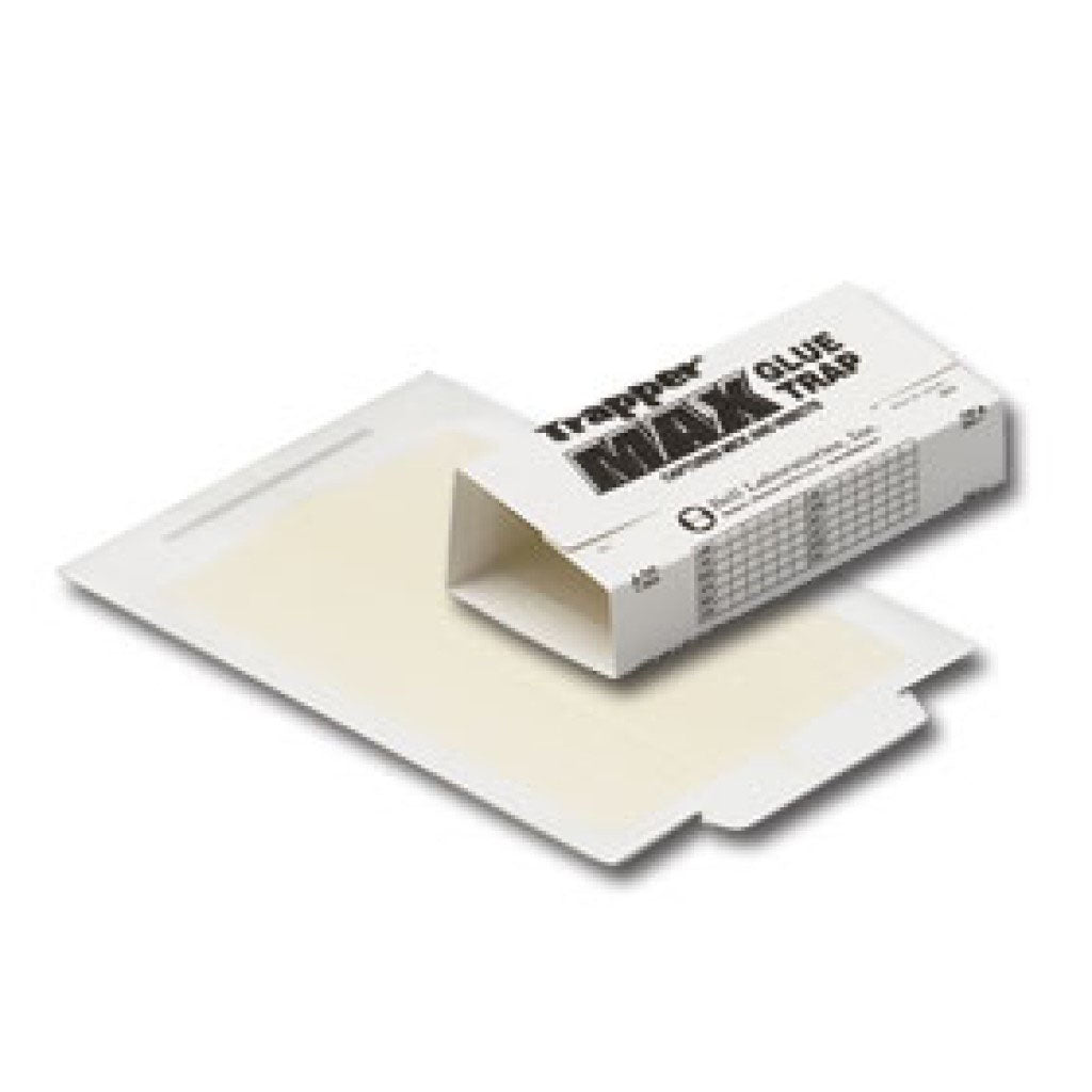 Trapper Max Glue Board for Mice pack of 12 glue boards